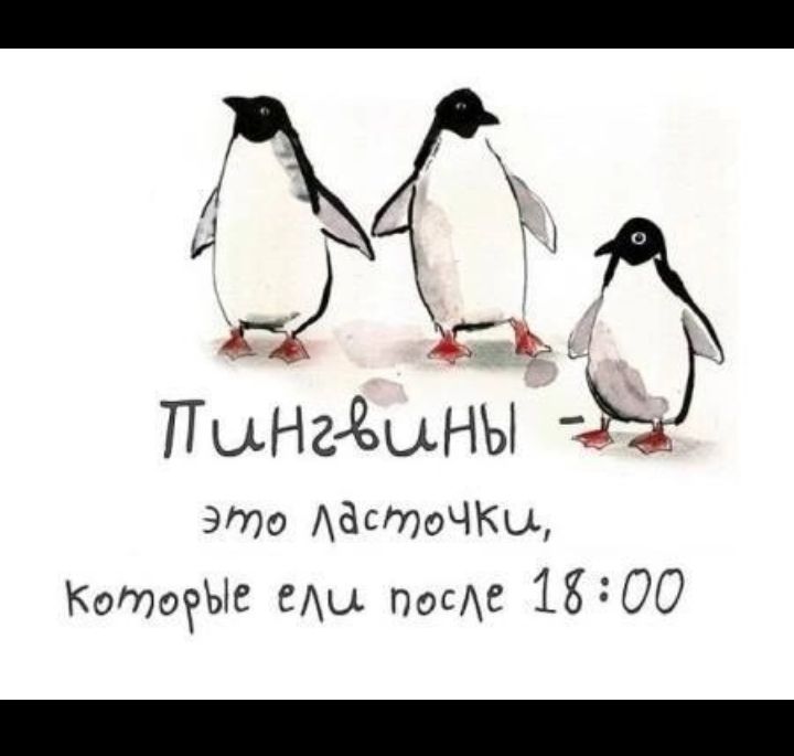 ж Пыниыны это АдстоЧКы КотЫЕ ВАШ По 1800