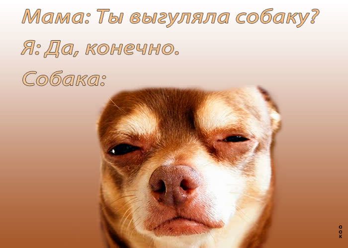 Медит Ты Ыгуатта баку Я Даа кмчн С5К