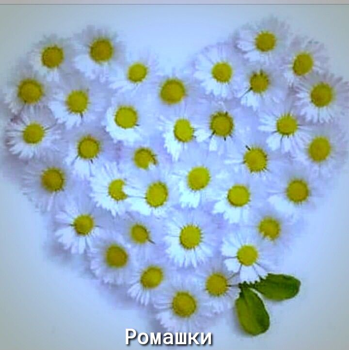 Рщшшп