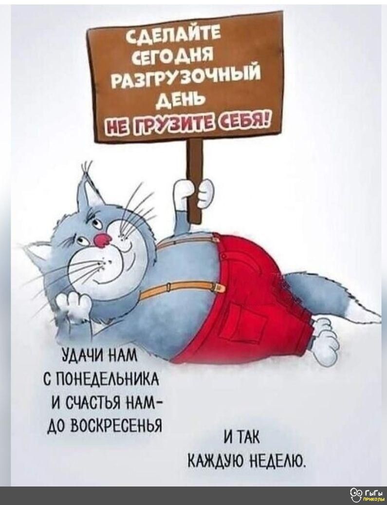 цвміпе сегодня гптзочиый умчи нмХ С ПОНЕДЕЛЬНИКА и сщстья мм Ао воскрывнья и мк кюшю ныыю