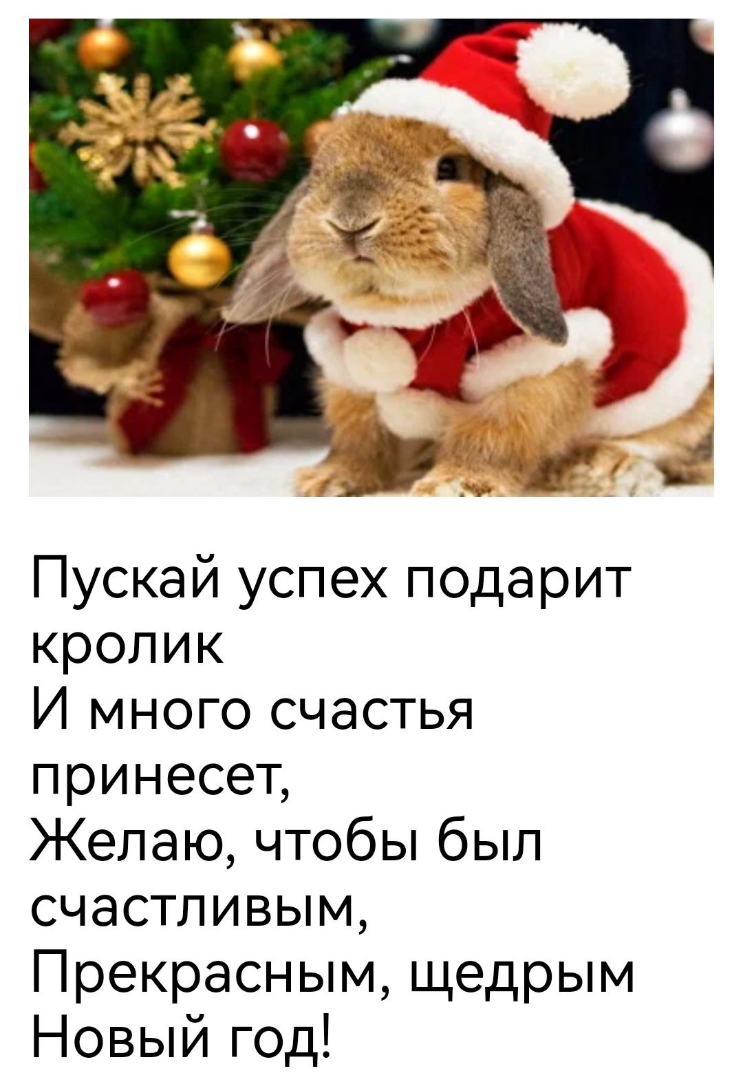 Пускай успех подарит кролик И много счастья принесет Келаючто6ьпбьш счастливым Прекраснымщедрым Новыйгод