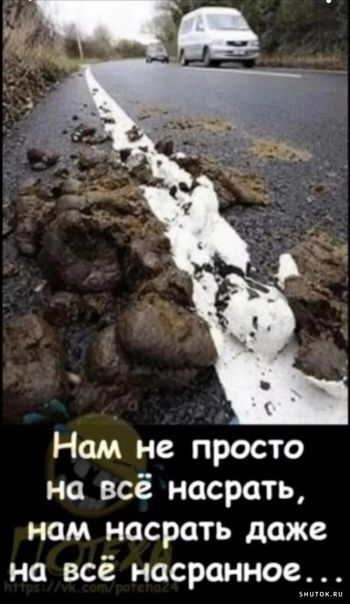 Нам не просто на всё насрать нам насрать даже на всё насранное
