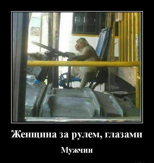 Женщина за рулем глазами Мужчин