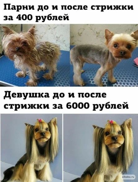 Парни до и после стрижки за 400 рублей девушка до и после стрижки за 6000 рублей 4