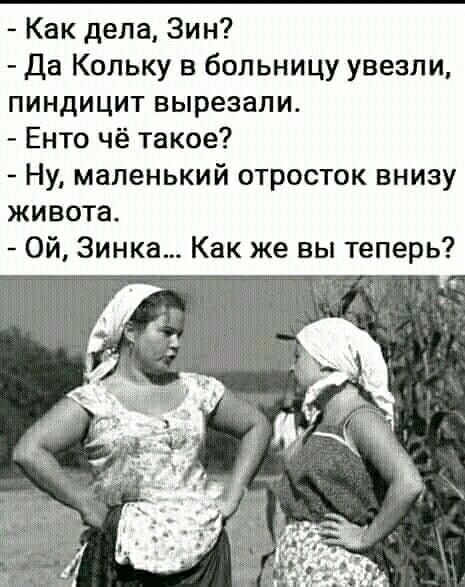 Как дела Зин Да Кольку в больницу увезли пиндицит вырезали Енто чё такое Ну маленький отросток внизу живота Ой Зинка Как же вы теперь