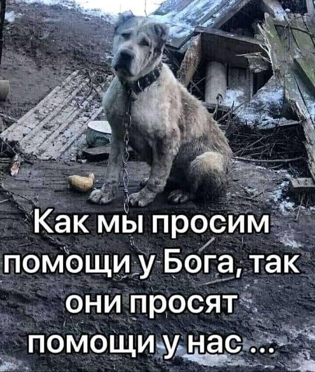 т они просятк С помощиж ы ас_ё