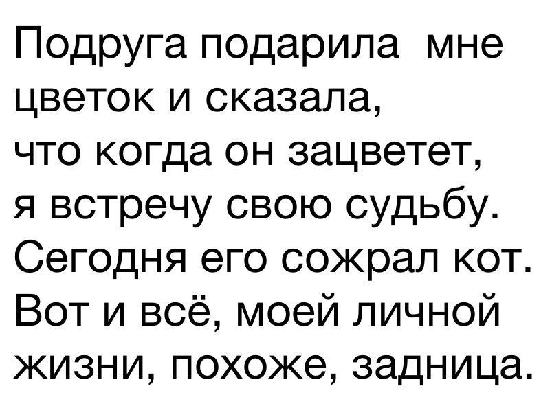 Подруга подарила мне цветок и сказала что когда он зацветет я встречу свою судьбу Сегодня его сожрал кот Вот и всё моей личной жизни похоже задница