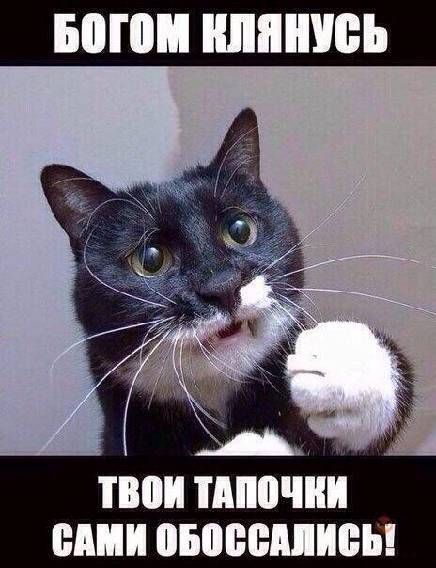 ЮИ ШШШ ШШ ШБШВЁПИБЫ