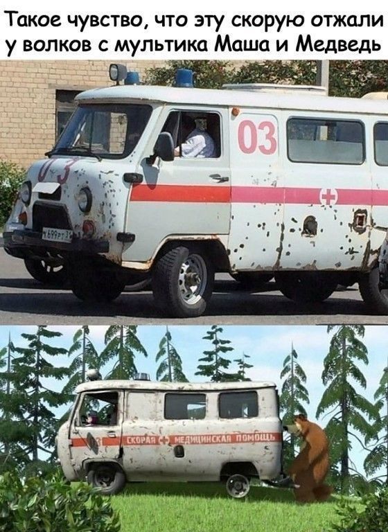 Такое чувство что эту скорую отжали у волков с мультика Маша и Медведь