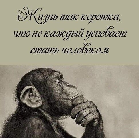 Жаль так 15900щ что не таждыйутеЁгЕи 6712621121 чтоёжом