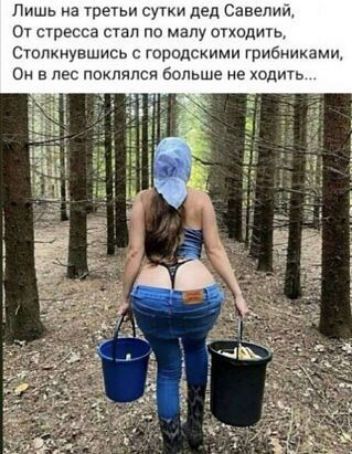 Лишь на трепм сутки дед Савелий 0 СТРЕССЭ СТЭП ПО МаПу ОТХОДИТЬ Столкнувшись с городскими грибиикамц Он в лес поклялся больше не ходить