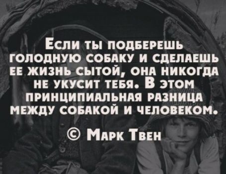 ЕСЛИ ты ПОДБЕРЕШЬ ГОЛОДИУЮ СОБАКУ И СДЕЛАЕШЪ ЕЕ ЖИЗНЬ СЪПОИ ОИА НИКОГДА НЕ УКУСИТ ТЕБЯ В ЭТОМ ПРИИЦИПИШРИПП РНИИ МЕЖДУ СОБПКОИ И ЧШОЕКН Мявк Тин