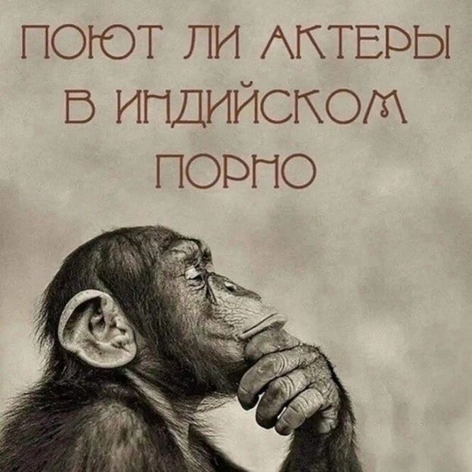 поют ли АКТЕРЫ в индийском порно