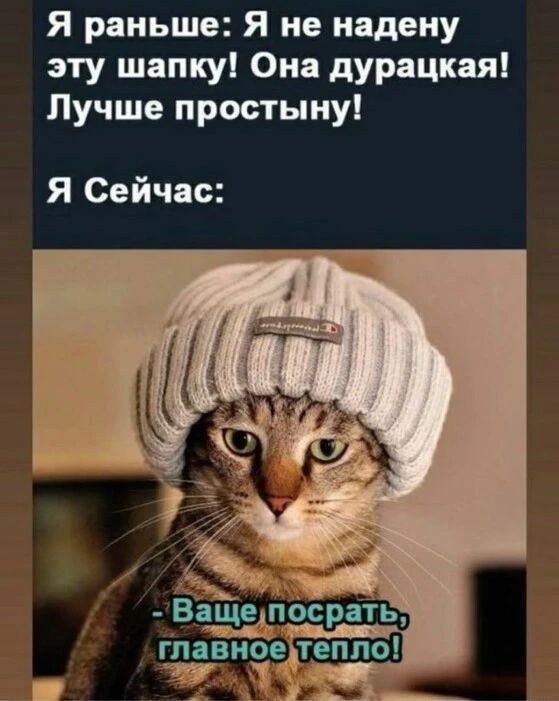 Я раньше я не надену эту шапку Она дурацкая Лучше простыну Я Сейчас тляь _ тзриоедтепло