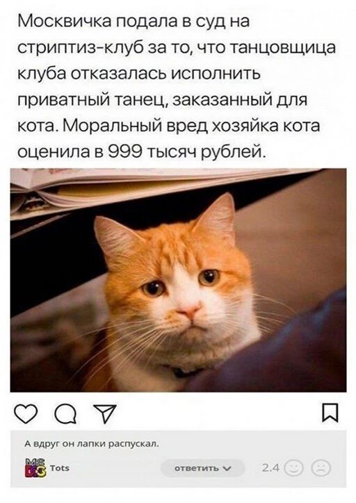 Москвичка подала в суд на стриптизклуб за то что танцовщица клуба отказалась исполнить приватный танец заказанный для кота Моральный вред хозяйка кота оценила 999 тысяч рублей ОО Ш А вдпуі л ннм Б и