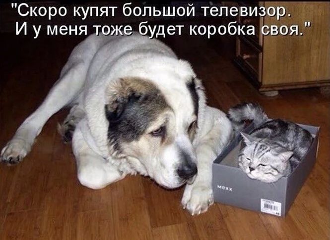 Скоро купят большой телевизор И у меня же 6 дет коробка своя