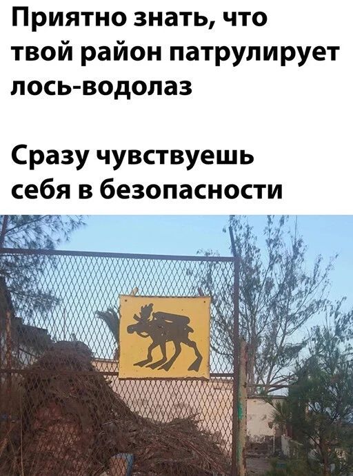 Приятно знать что твой район патрулирует лось водолаз Сразу чувствуешь себя в безопасности