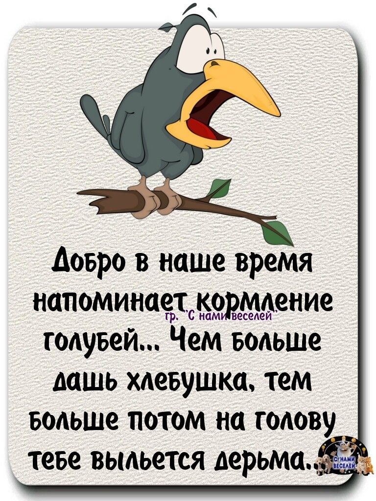 Аовро в наше время напоминаедсъодмеЙюние голубей Чем водьше дашь леъзушка тем водьше потом на голову теве ВЫАЬСТСЯ дерьма