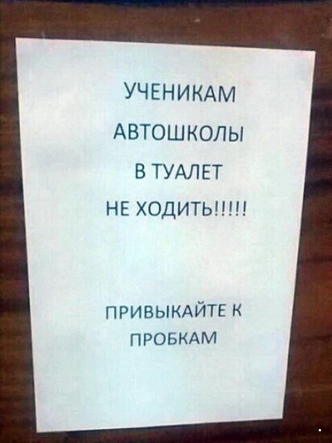 УЧЕНИКАМ АВТОШКОЛЫ В ТУАЛЕТ НЕ ХОДИТЬ ПРИВЫКАИТЕ К ПРОЬКАМ