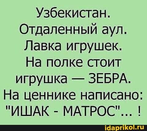 Узбекистан Отдаленный аул Лавка игрушек На попке сгоит игрушка ЗЕБРА На ценнике написано ИШАК МАТРОС г