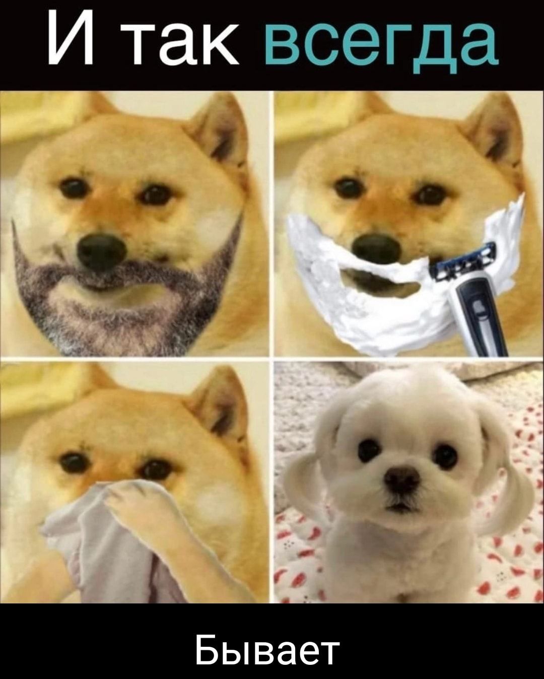 И так всегда