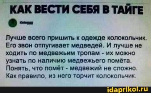 актиний Пучшо всею пришить подошли Его звон ступицы медведей и лучше не хвдиуь по топам их можно узнать по наличию ивднежьвго помета Понять чю попы медвежий не сложно Как правило из него тори кппокопьчщ