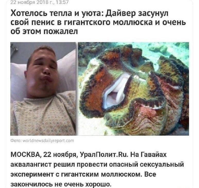 Хотелась тепла и уюта дайвер закунул свой пенис в гигантского моллюска и вчеиь об этим пожалел МОСКВА 22 ноября Урата ити н Гавнйнх аквалаигист решил провести опасный сексуальный кслеримеит гигантским миллтком все закончилось не очень хорошо