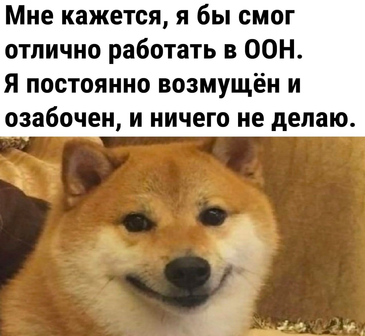 Мне кажется я бы смог отлично работать в ООН Я постоянно возмущён и озабочен и ничего не делаю