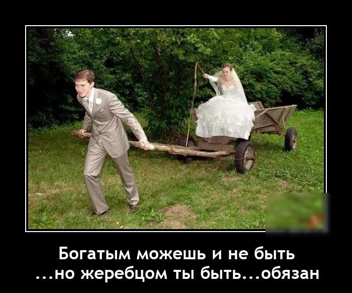 Богатым можешь и не быть но жеребцом ты бытьобязан