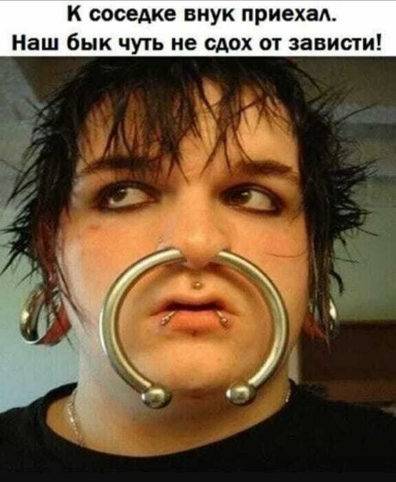 к соседке внук приехал Наш бык чуть не сдох от зависти