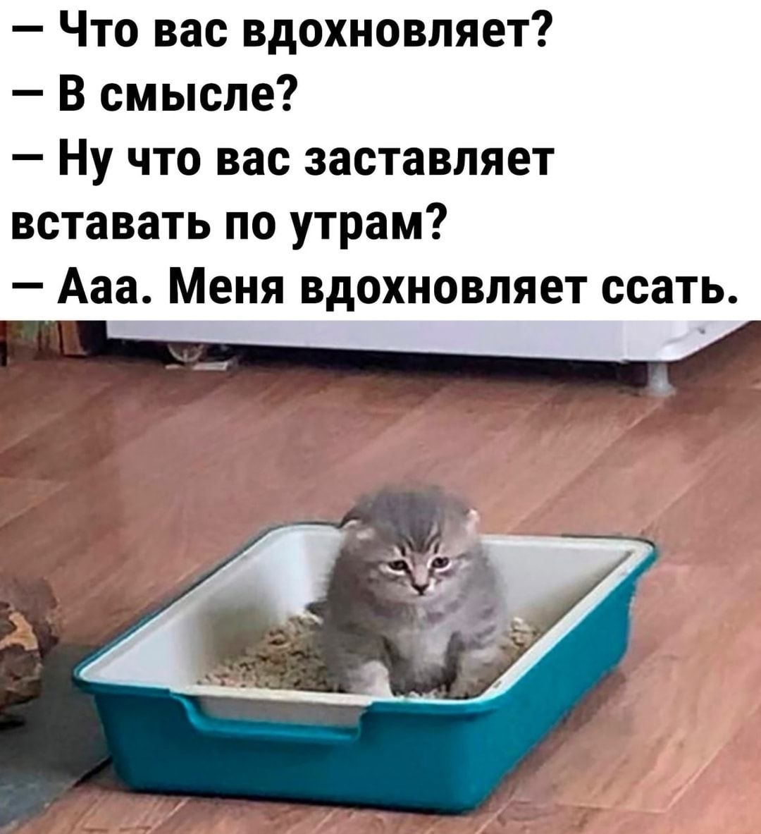 Что вас вдохновляет В смысле Ну что вас заставляет вставать по утрам Ааа Меня вдохновляет ссать