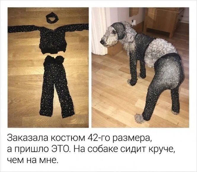 Заказапа костюм 42 го размера а пришло ЭТО На собаке сидит круче чем на мне