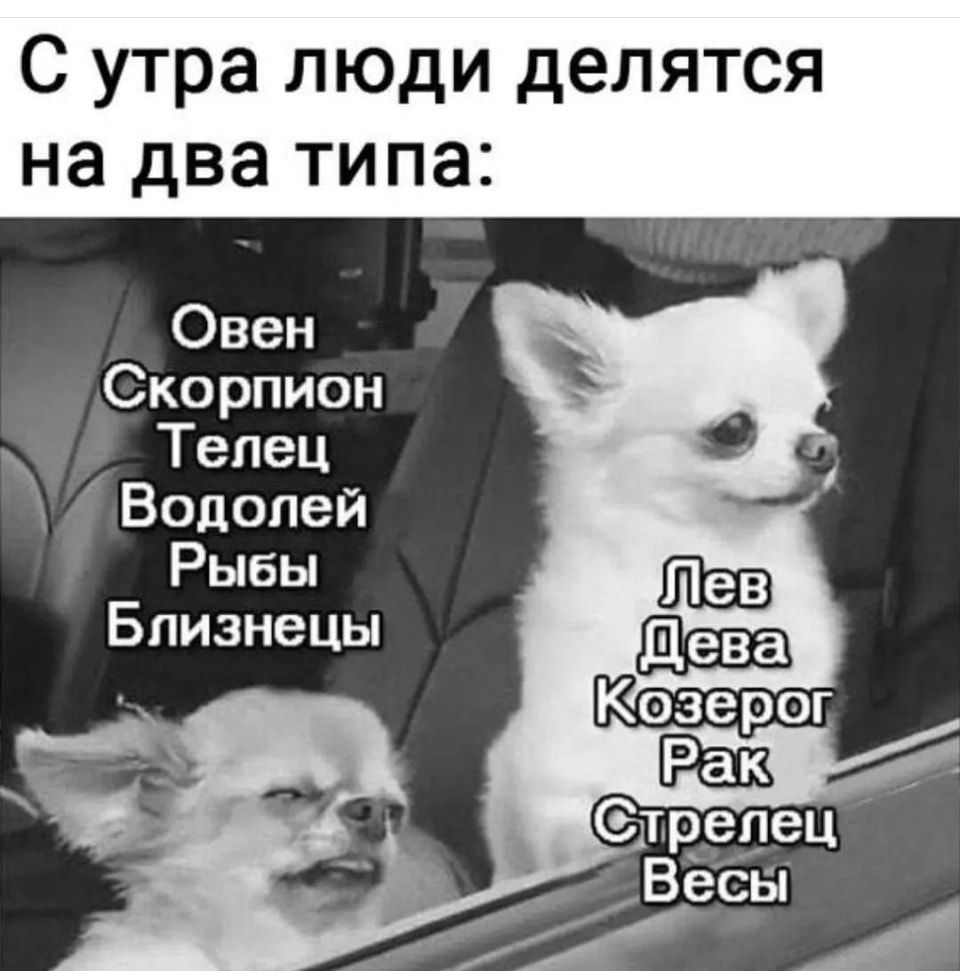 С утра люди делятся на два типа Овен Скорпион Тепец Водолей Рыбы Близнецы