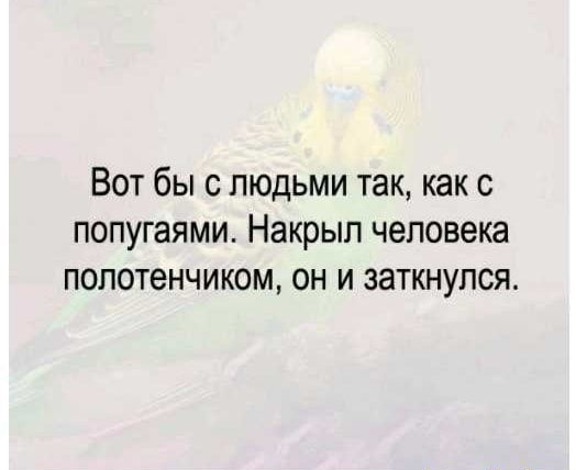 Вот бы людьми так как с попугаями Накрып человека попотенчиком он и заткнупся