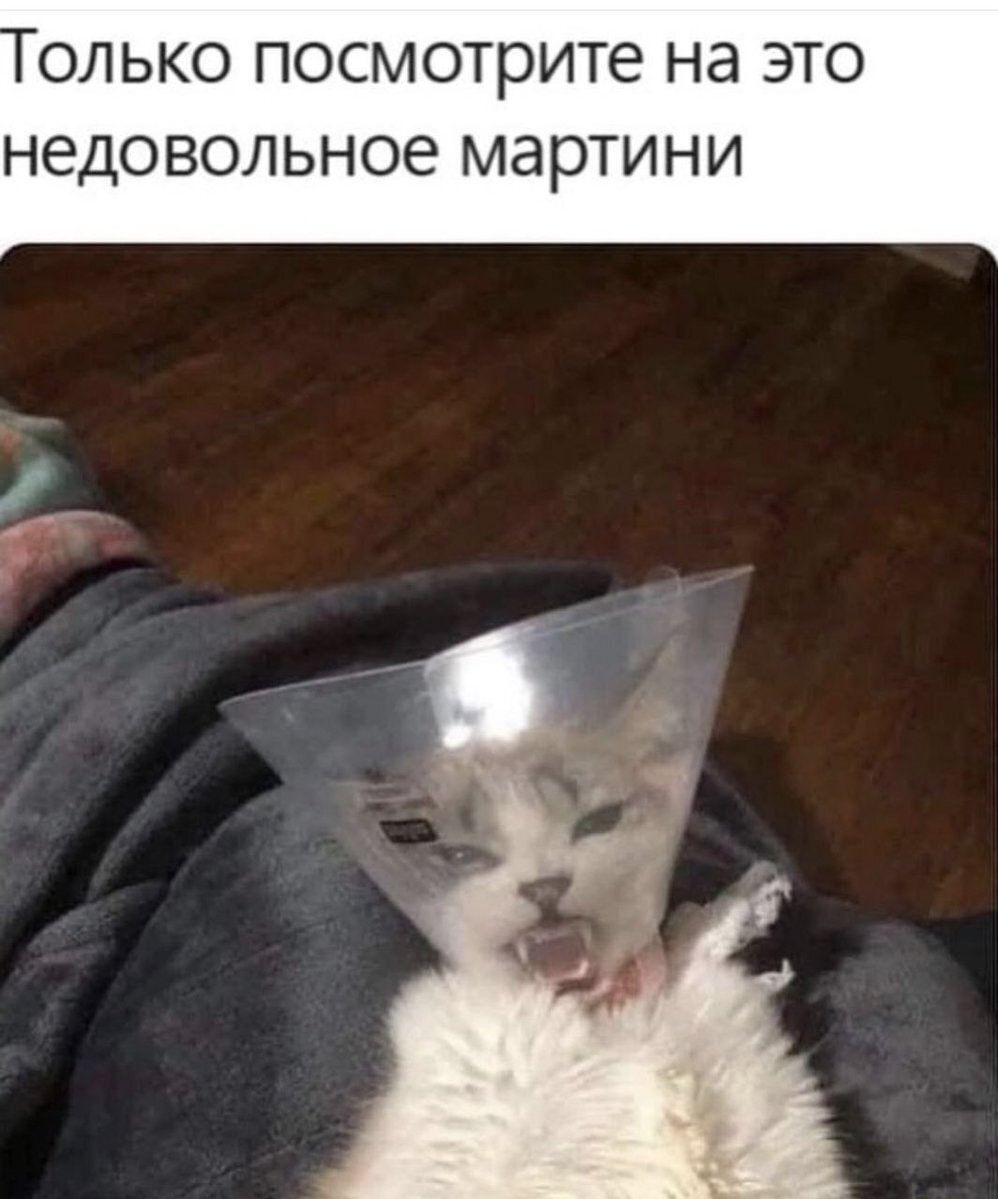 ОЛЬКО посмотрите на ЭТО недовольное МЭРТИНИ