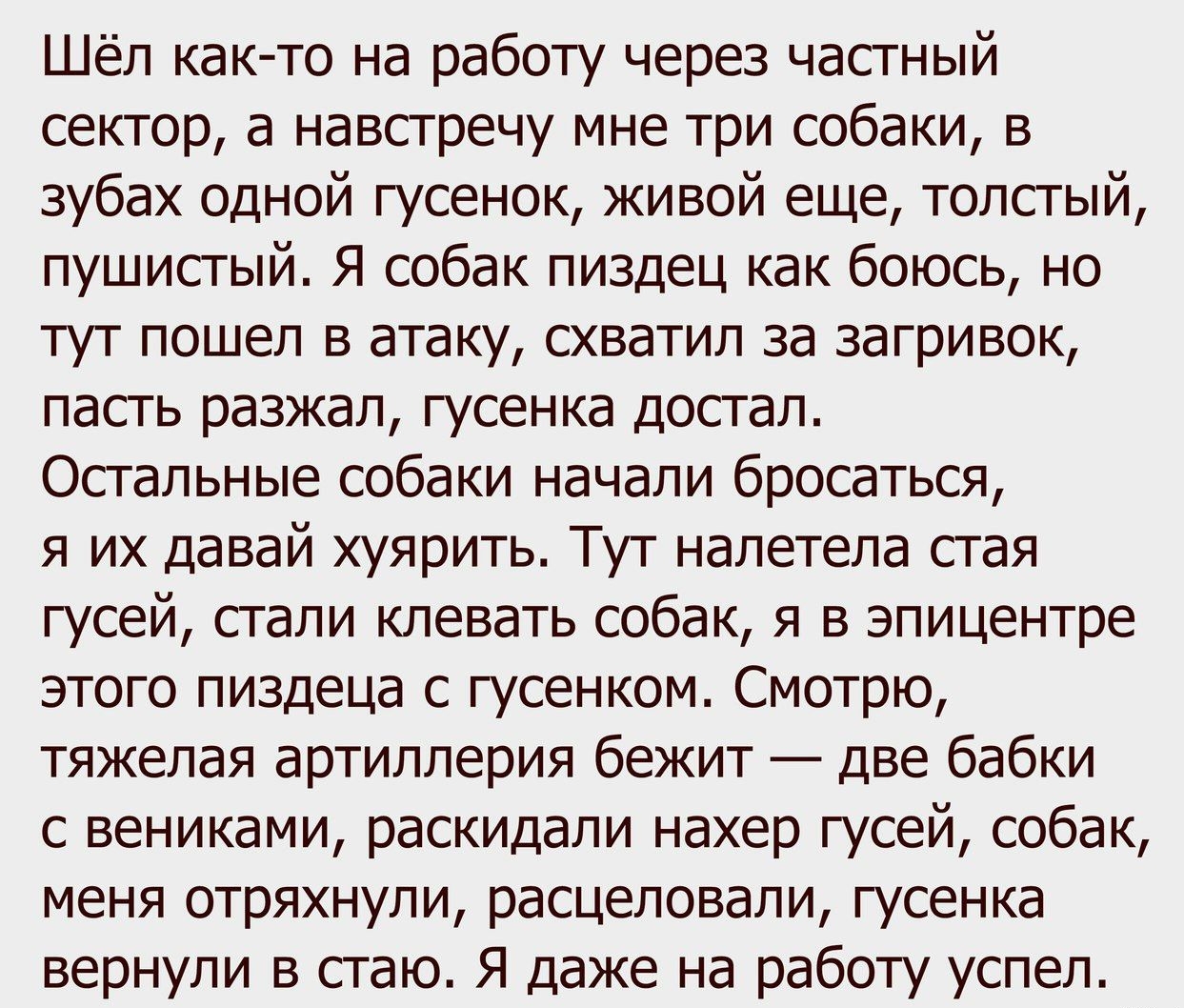 Шёл как то на работу через частный сектор а навсгречу мне три собаки в зубах одной гусенок живой еще толсгый пушистый я собак пиздец как боюсь но тут пошел в атаку схватил за загривок пасть разжал гусенка достал Остальные собаки начали бросаться я их давай хуярить Тут налетела сгая гусей сгапи клевать собак я в эпицентре этого пиздеца с гусенком Смотрю тяжелая артиллерия бежит две бабки с вениками