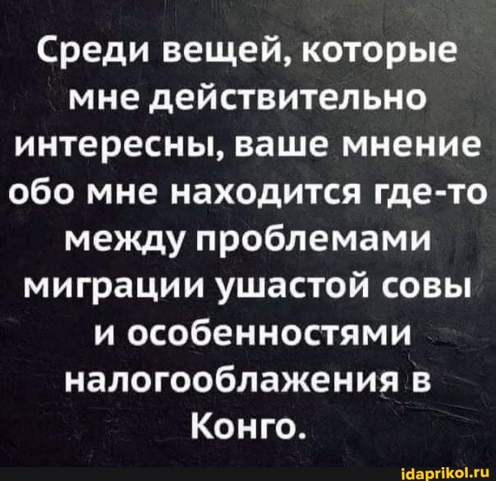 Среди вещей которые мне действительно интересны ваше мнение обо мне находится где то между проблемами миграции ушастой совы и особенностями налогооблажения в Конго шариком
