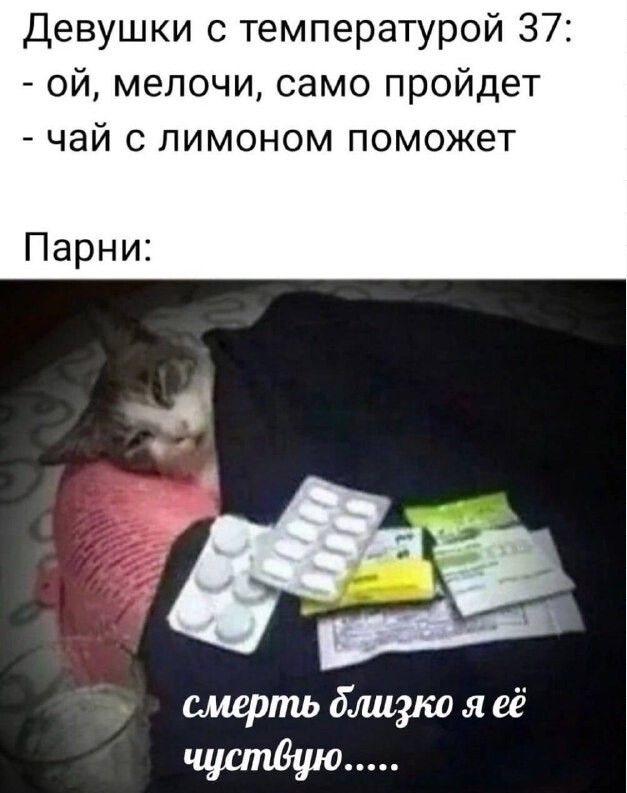Девушки с температурой 37 ой мелочи само пройдет чай с лимоном поможет Парни
