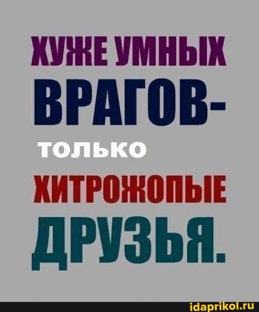 ШИН имных винов дгизьн