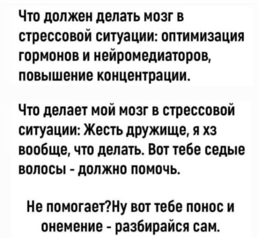 Что должен делать мозг в стрессовой ситуации оптимизация гормонов и нейромедиаторов повышение концентрации Что делает мой мозг в стрессовой ситуации Жесть дружище я хз вообще что делать Вот тебе седые волосы должно помочь Не помогаетту вот тебе понос и онемение разбирайсл сам