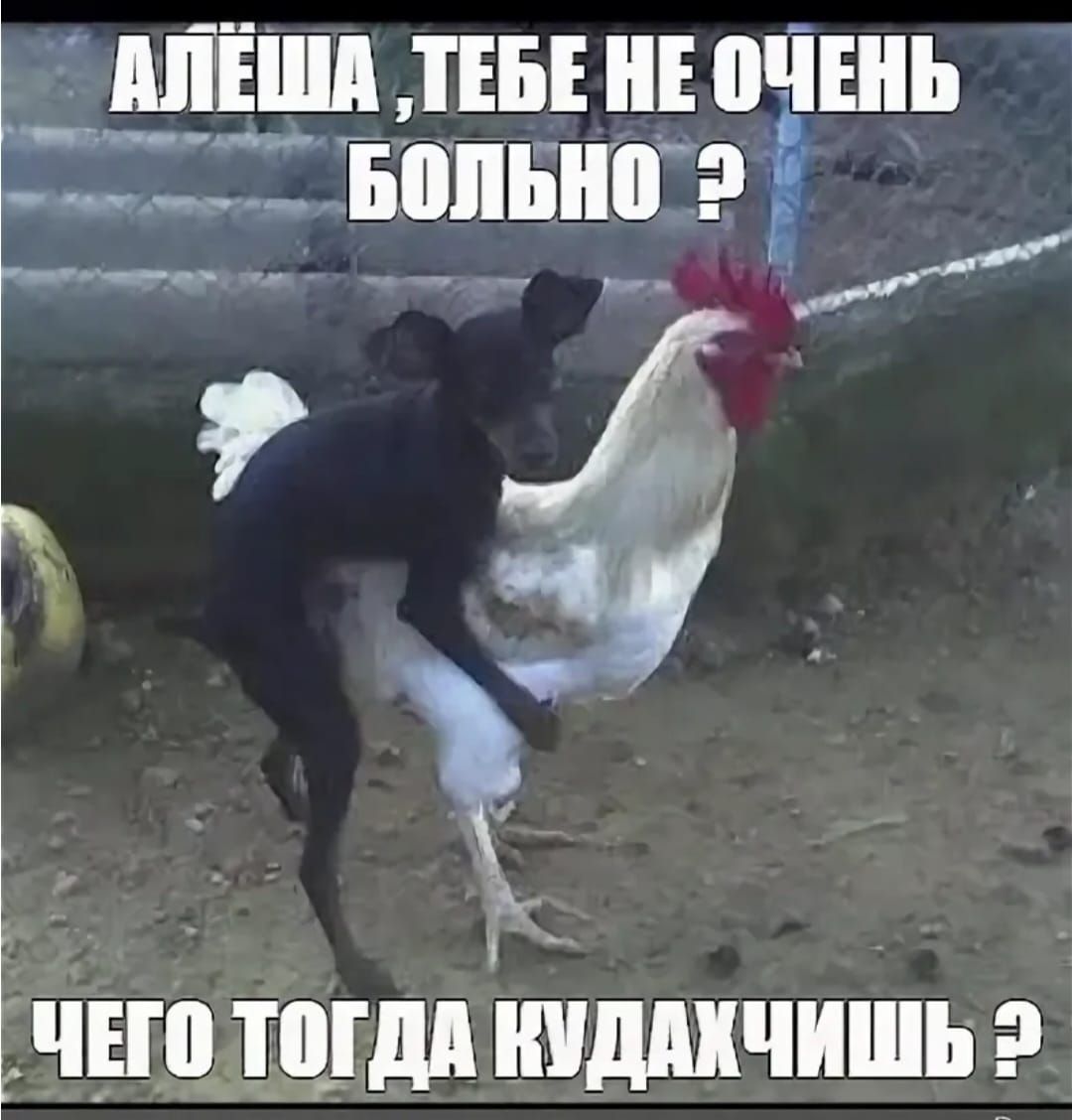 МЁШ ТЕБЕ ЮЧШЬ __ шь Г _ шина эі ЦЧШ Шдд ШШЧИШЪ