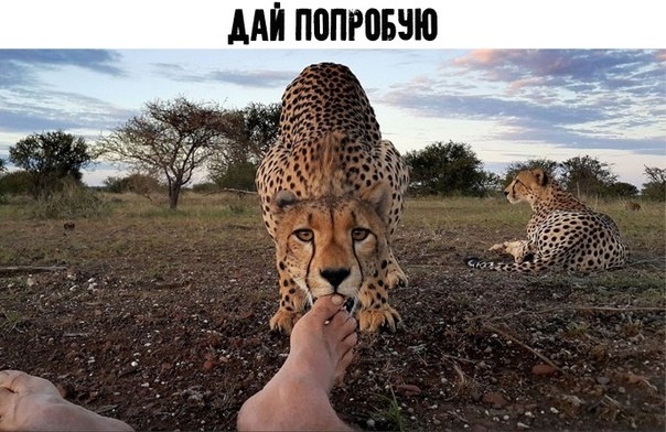 ААП поправит