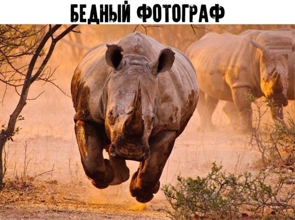БЕДНЫЙ ФВТППАФ СГ тъ т