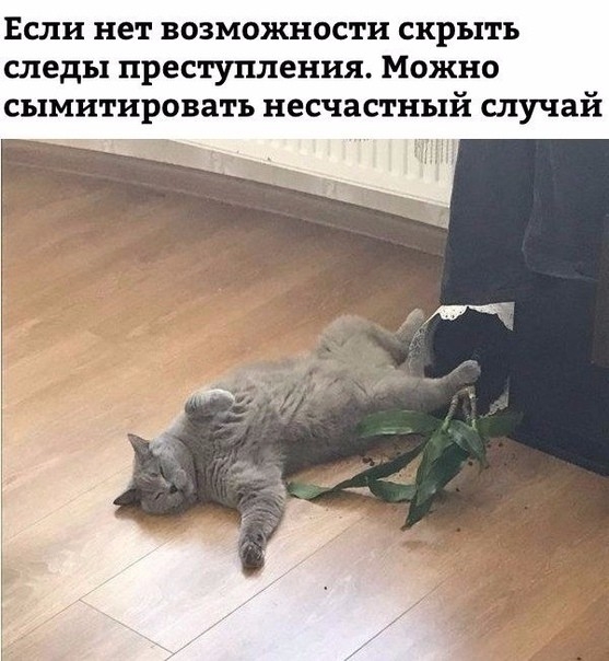 Если нет возможности скрыть следы преступления Можно сымитировать несчастный случай
