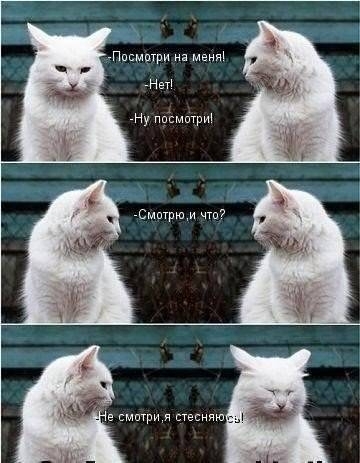 Нап Ну мм емптрюм чт смптриж стеснпю