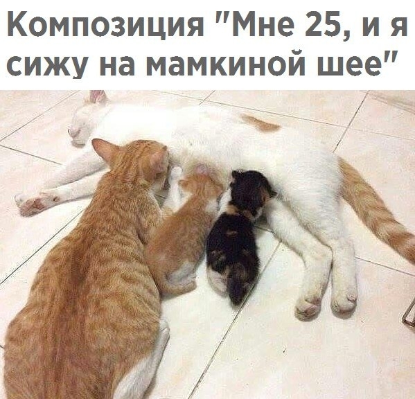 Композиция Мне 25 и я сижу на мамкиной шее Ч 7