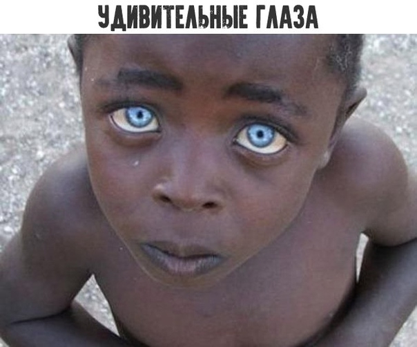 НАИВИТЕАЬНЫЕ Г ААЗА