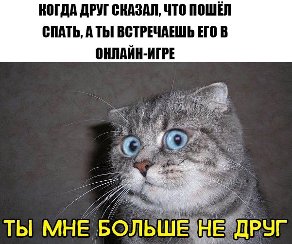 НШдд дРУГ пидздп ПП ППШЁЛ ВМП ТЫ ВЩРЕЧДЕШЬ Ш В пнпдйн ит