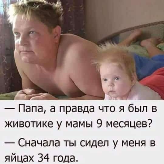 Папа а правда что я был в животике у мамы 9 месяцев Сначала ты сидел у меня в яйцах 34 года
