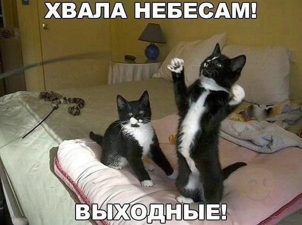 ХВАЛА НЕБЕСАМ